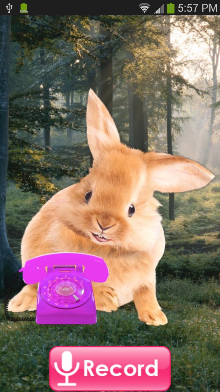 Bunny Call