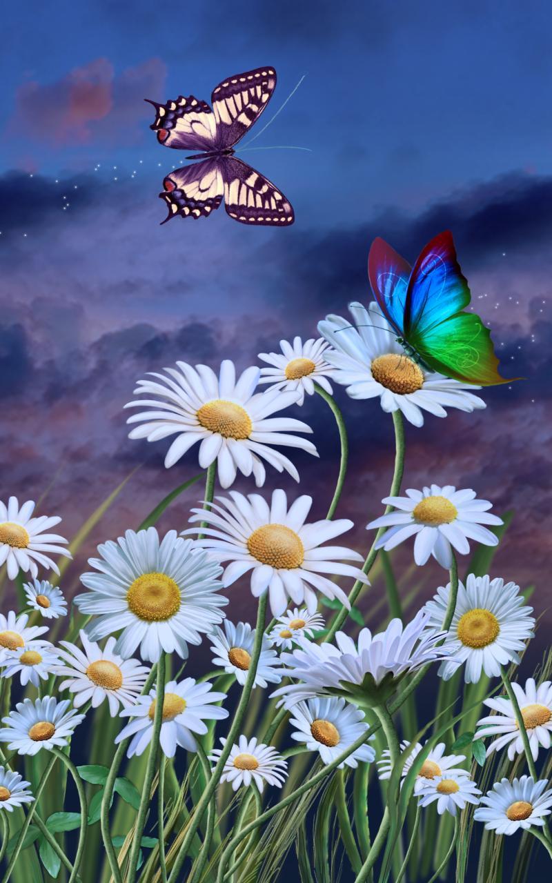 Flowers and Butterflies Summer