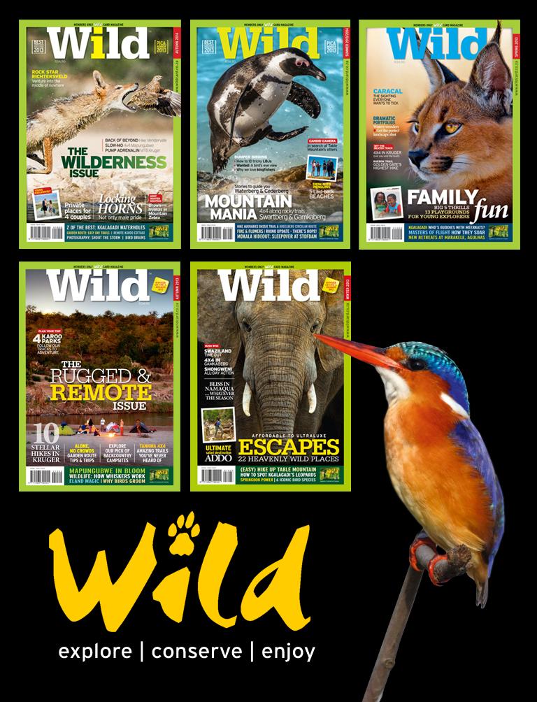Wild Magazine