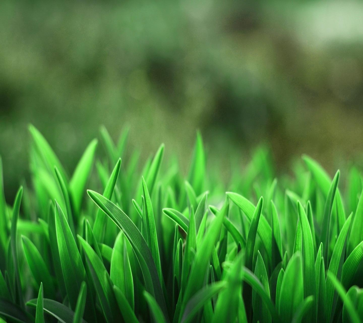 Wallpapers (MotoX, 2014)