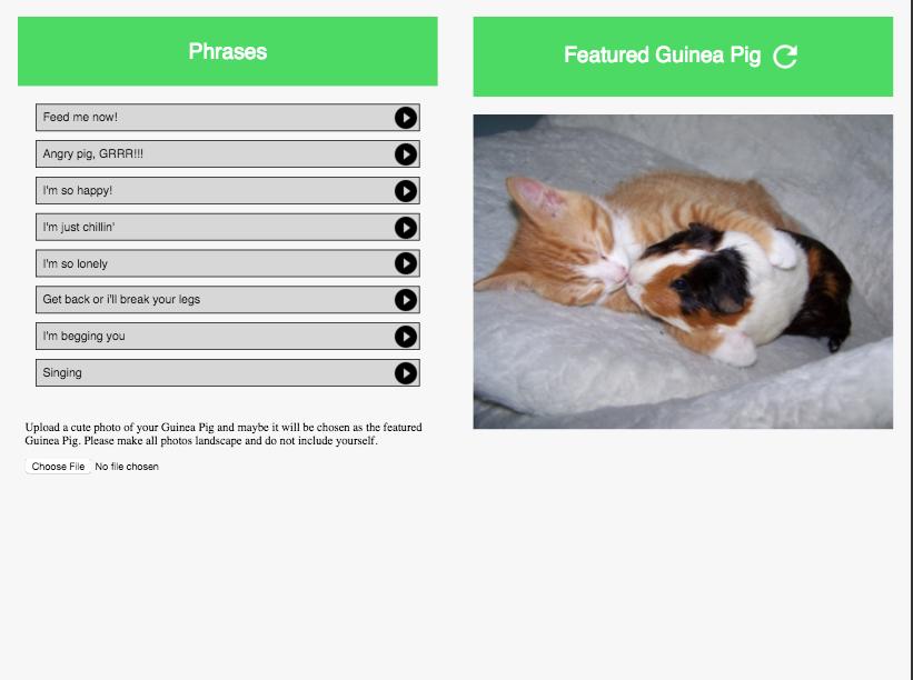 Guinea Pig Communicator