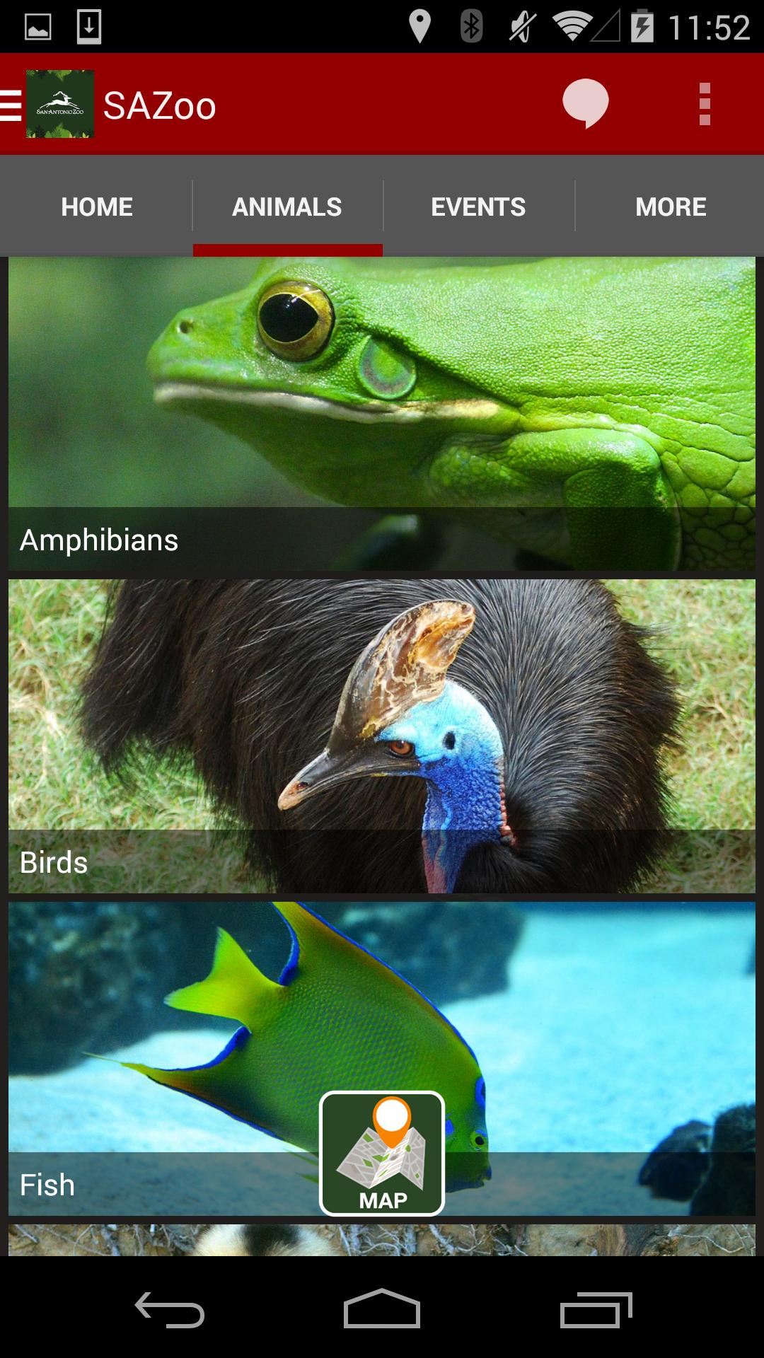 San Antonio Zoo