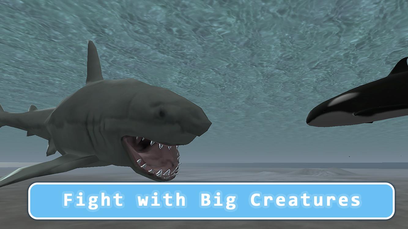 Killer Whale Orca Simulator