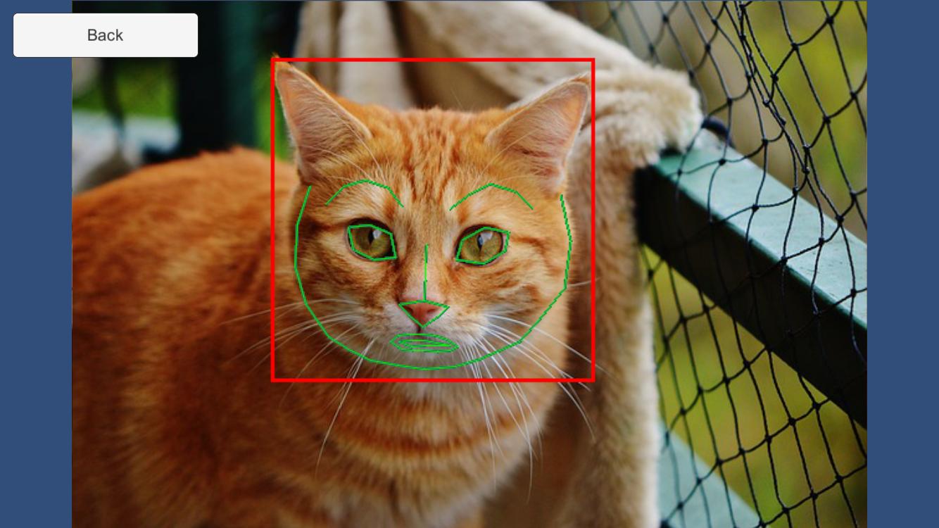 DlibFaceLandmarkDetectExample