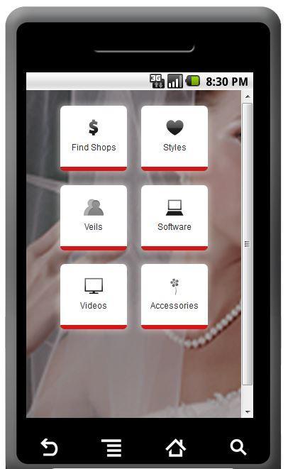 Wedding Dress Secrets