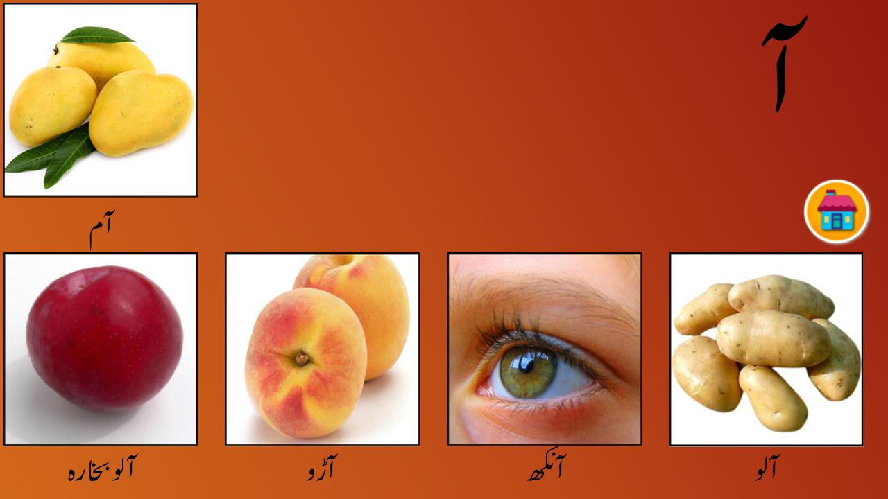 My first book of Urdu Alif Bay Pay Tay