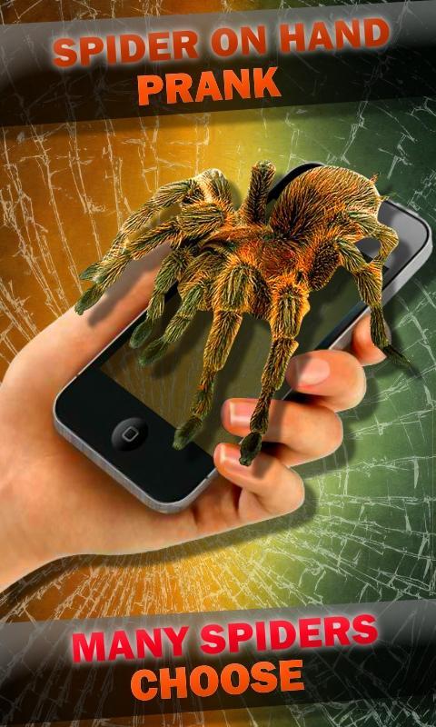 Spider on Hand. Camera Prank