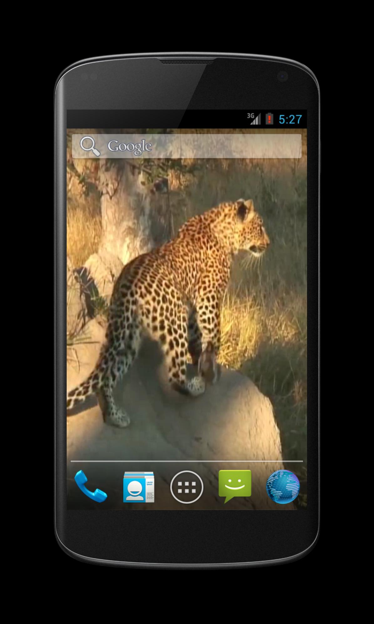 Leopard Free Video Wallpaper