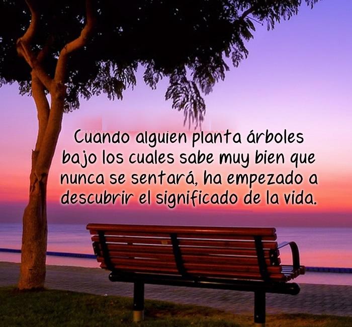 Frases de reflexion de la vida