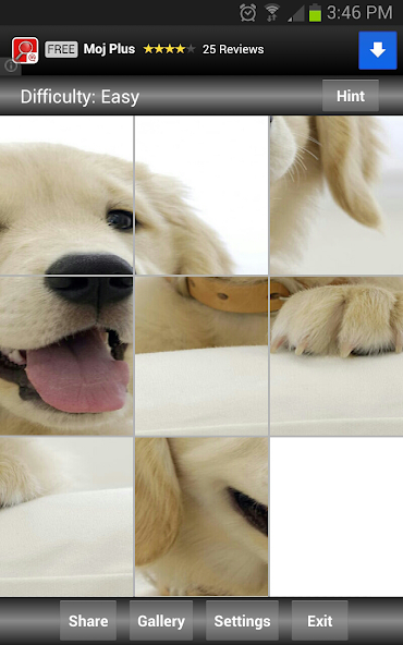 Jigsaw Puzzle: Cute Animals