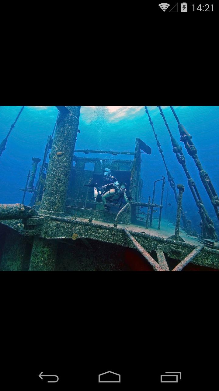 Bermuda Reef Life HD