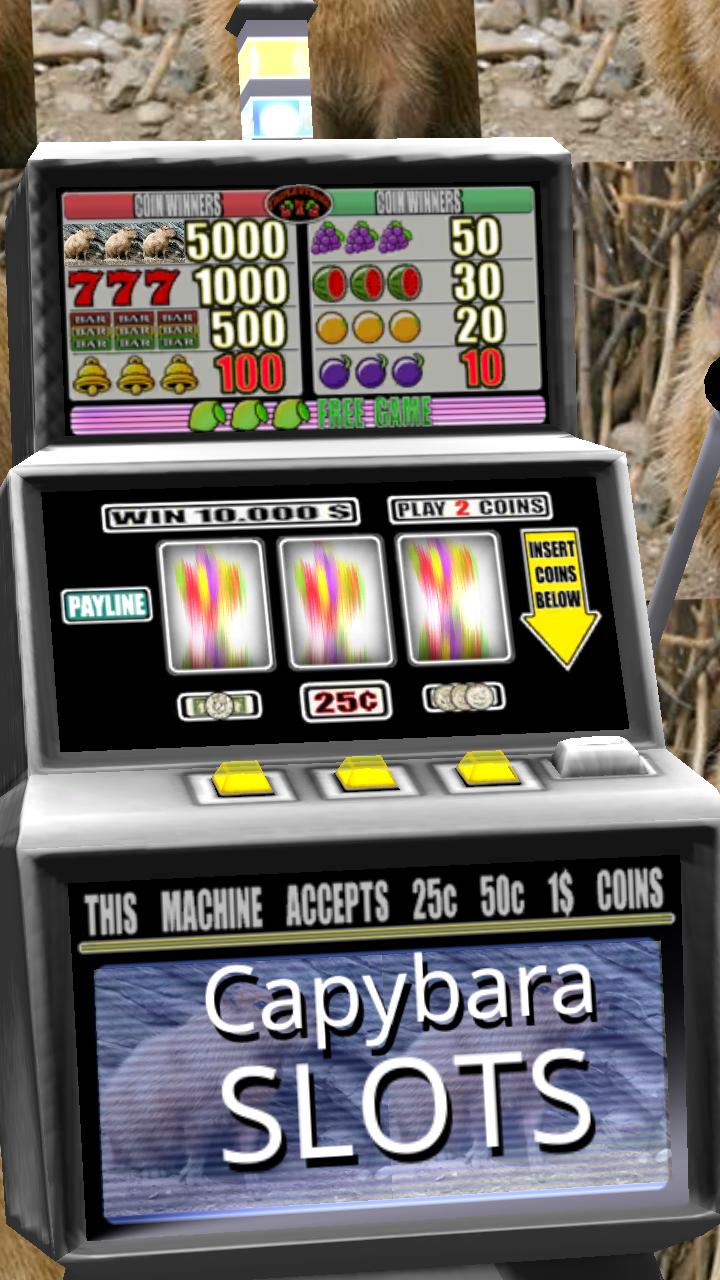3D Capybara Slots - Free