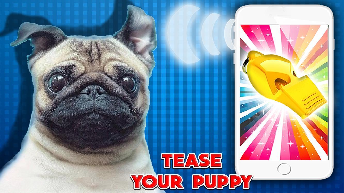 Dog Whistle ultrasonic