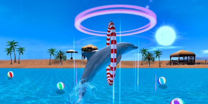 The Dolphin Aquarium Show