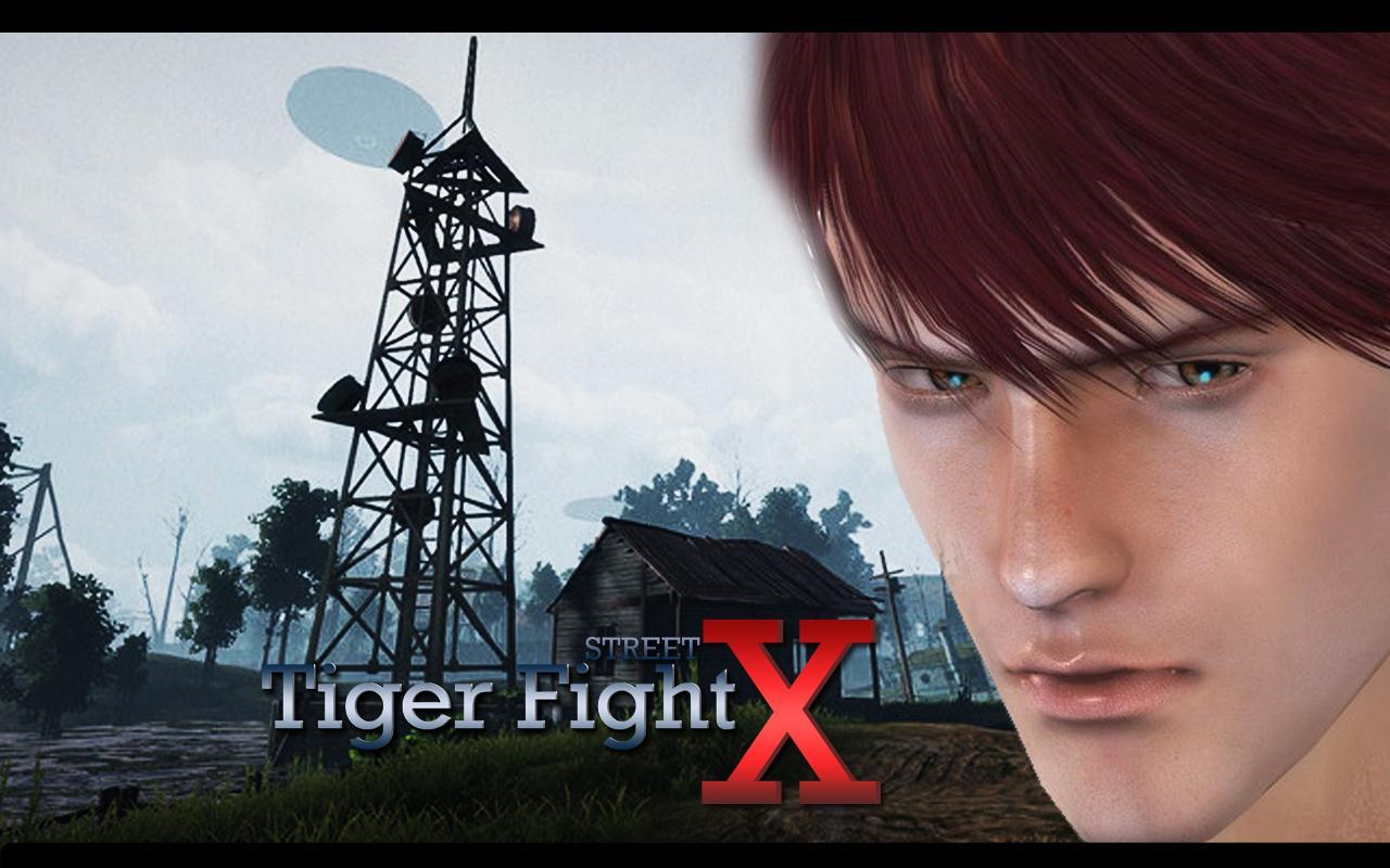 Tiger Fight Street X