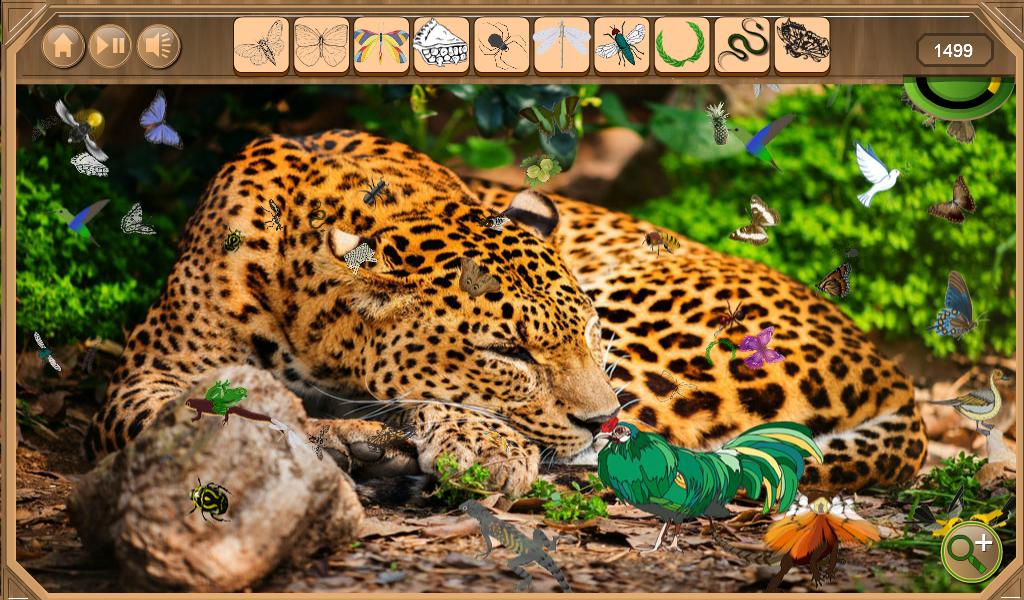 Safari Hidden Objects