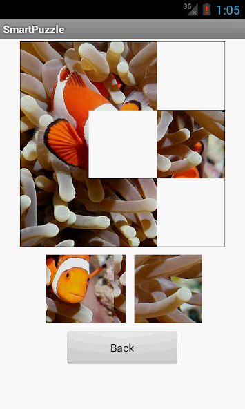 Smart Puzzle