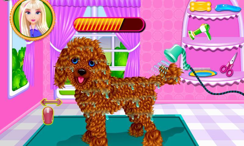 Pet Salon Care