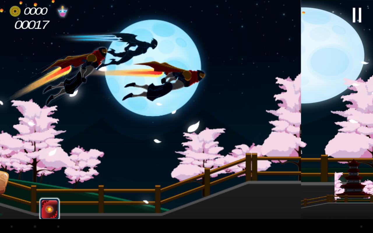 Ninja Flight
