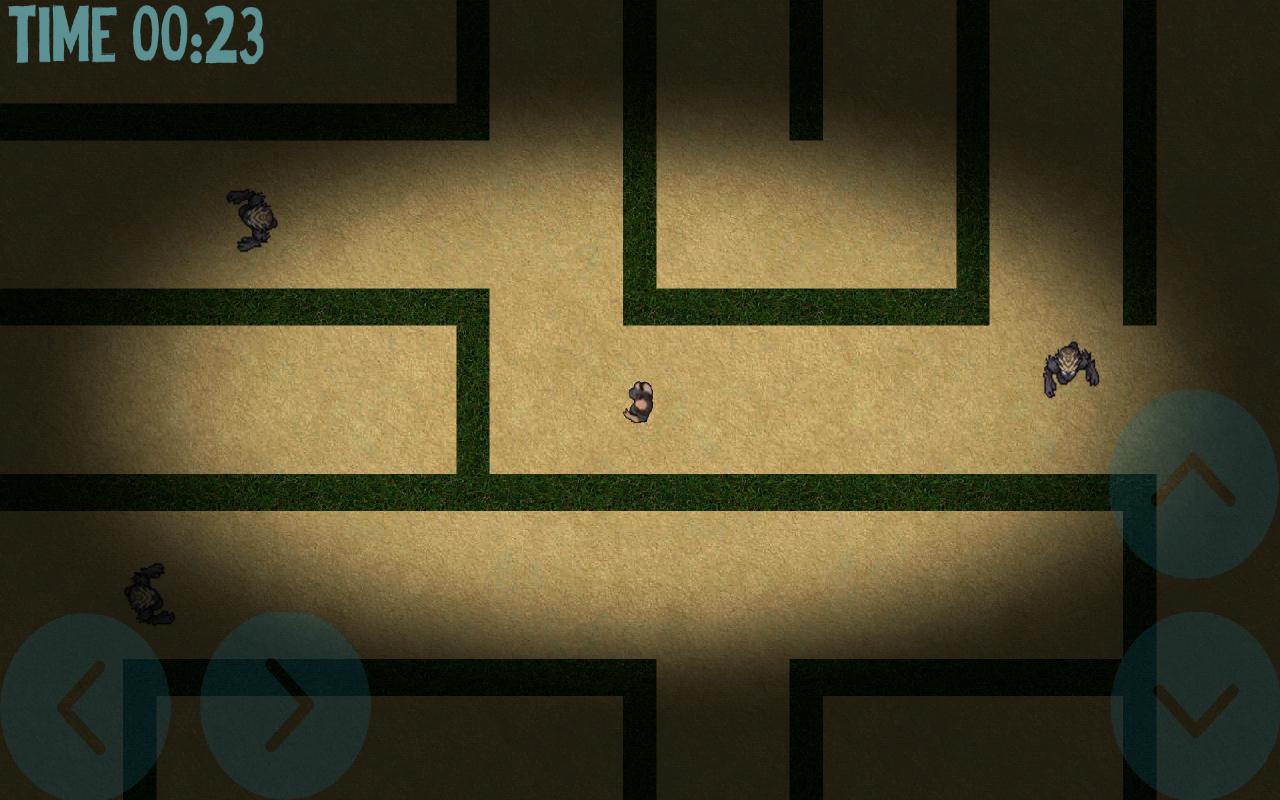 Maze Escape