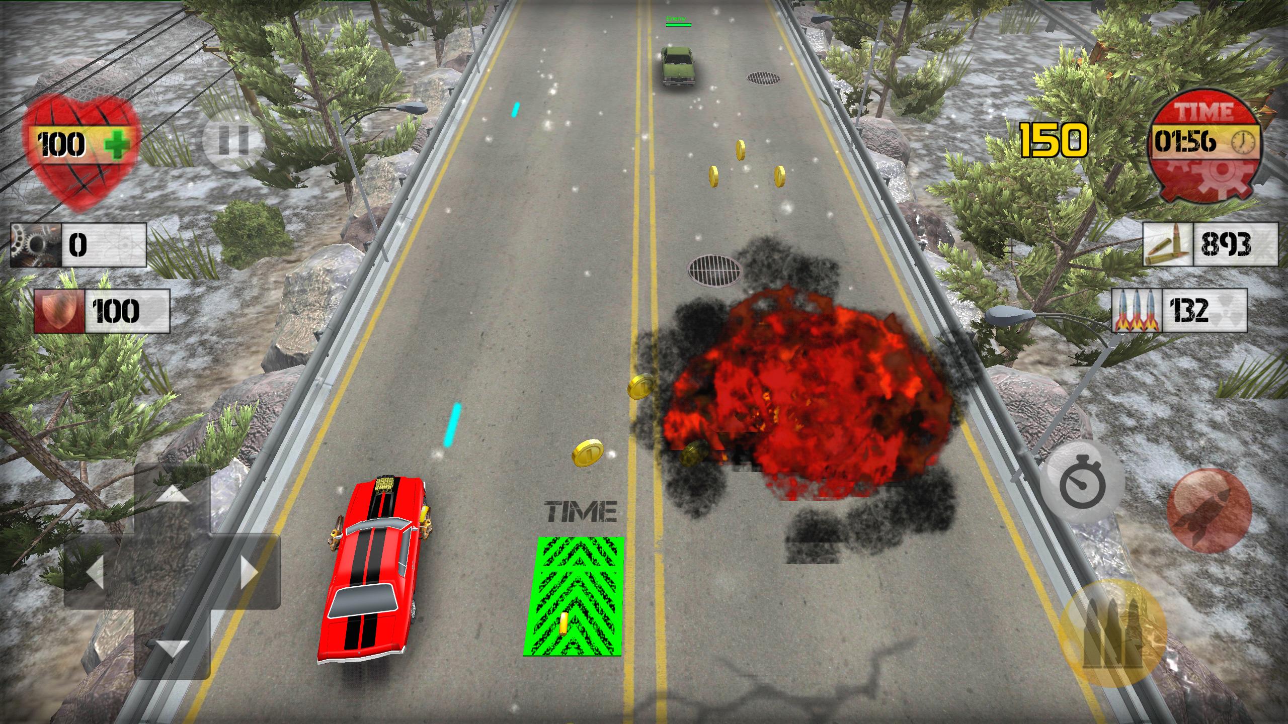 Traffic Survival