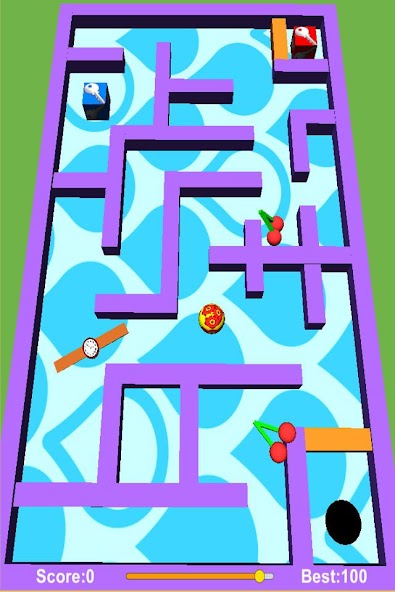 Mini Maze