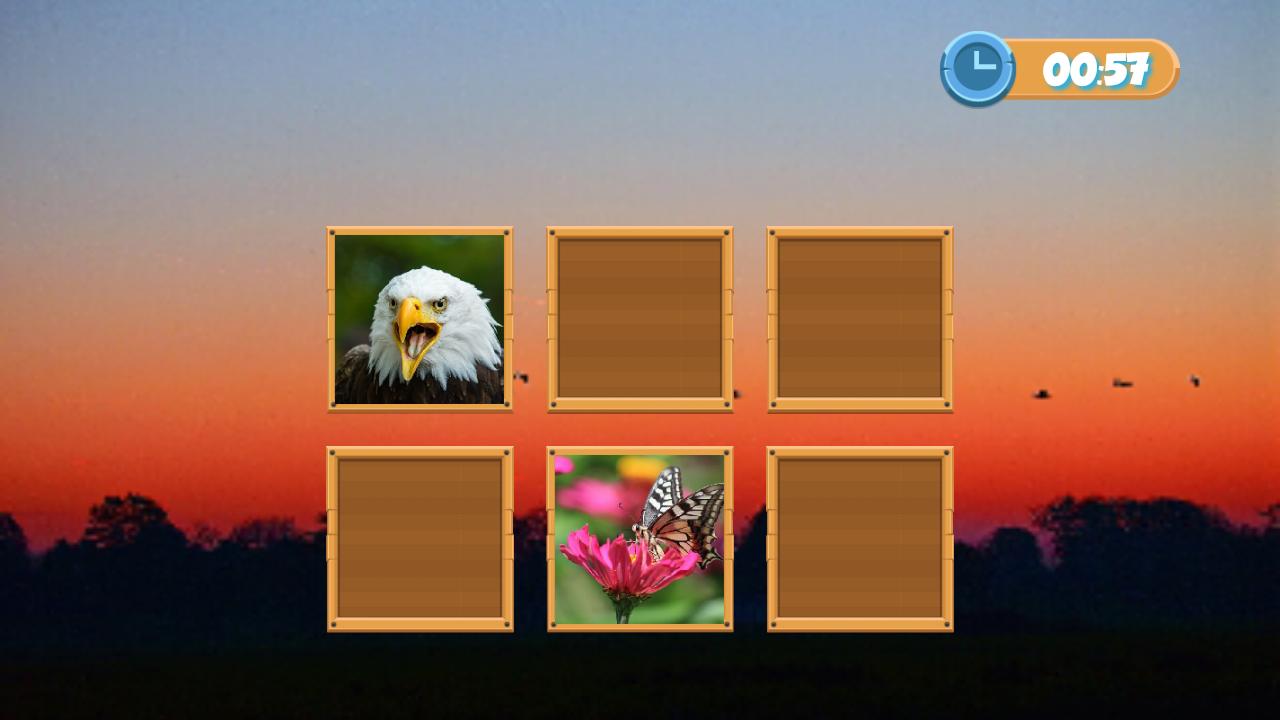 Match Pair Memory Game
