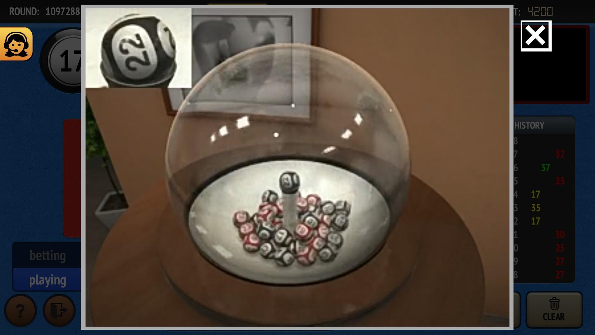 Bingo37
