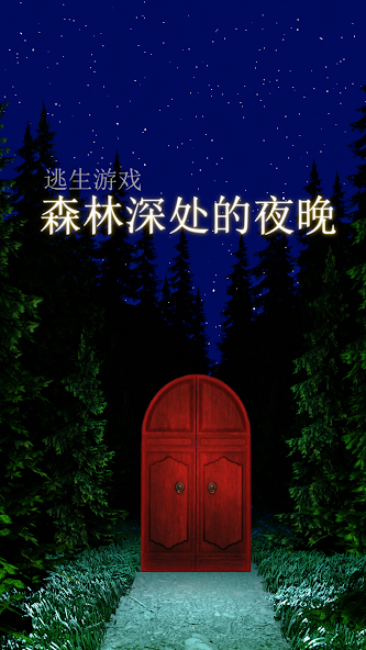 Night in the Deep Forest