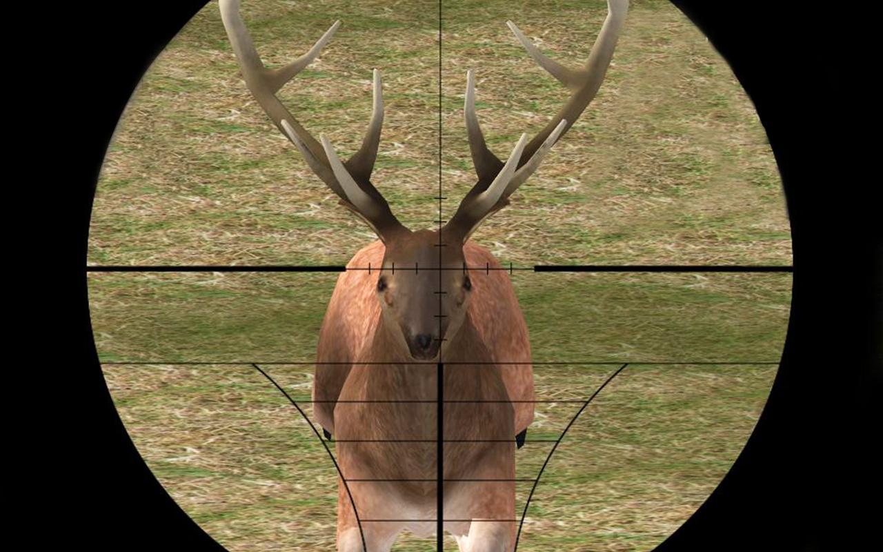Stag Hunter Safari
