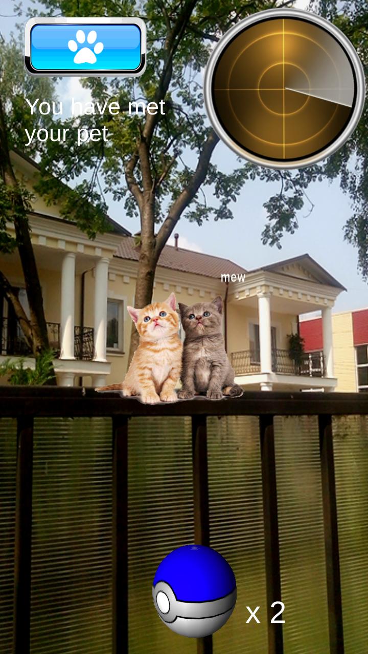 Pocket Cats GO