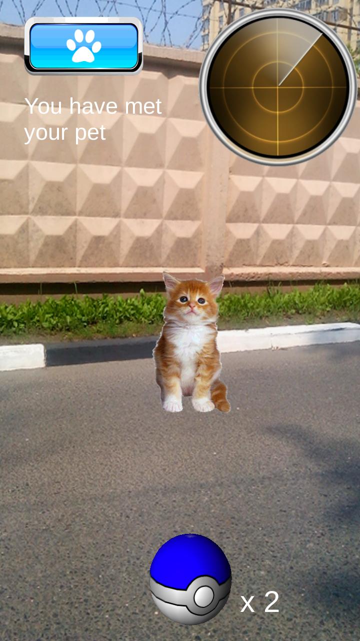 Pocket Cats GO