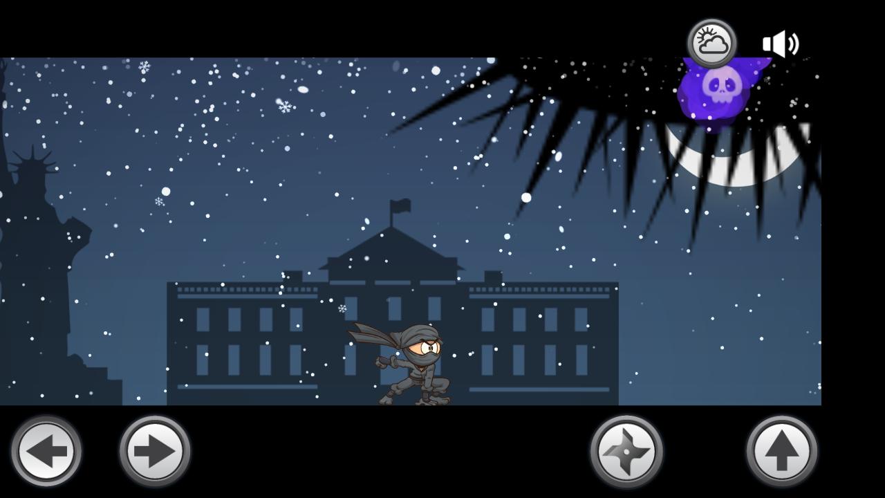 Shadow Ninja