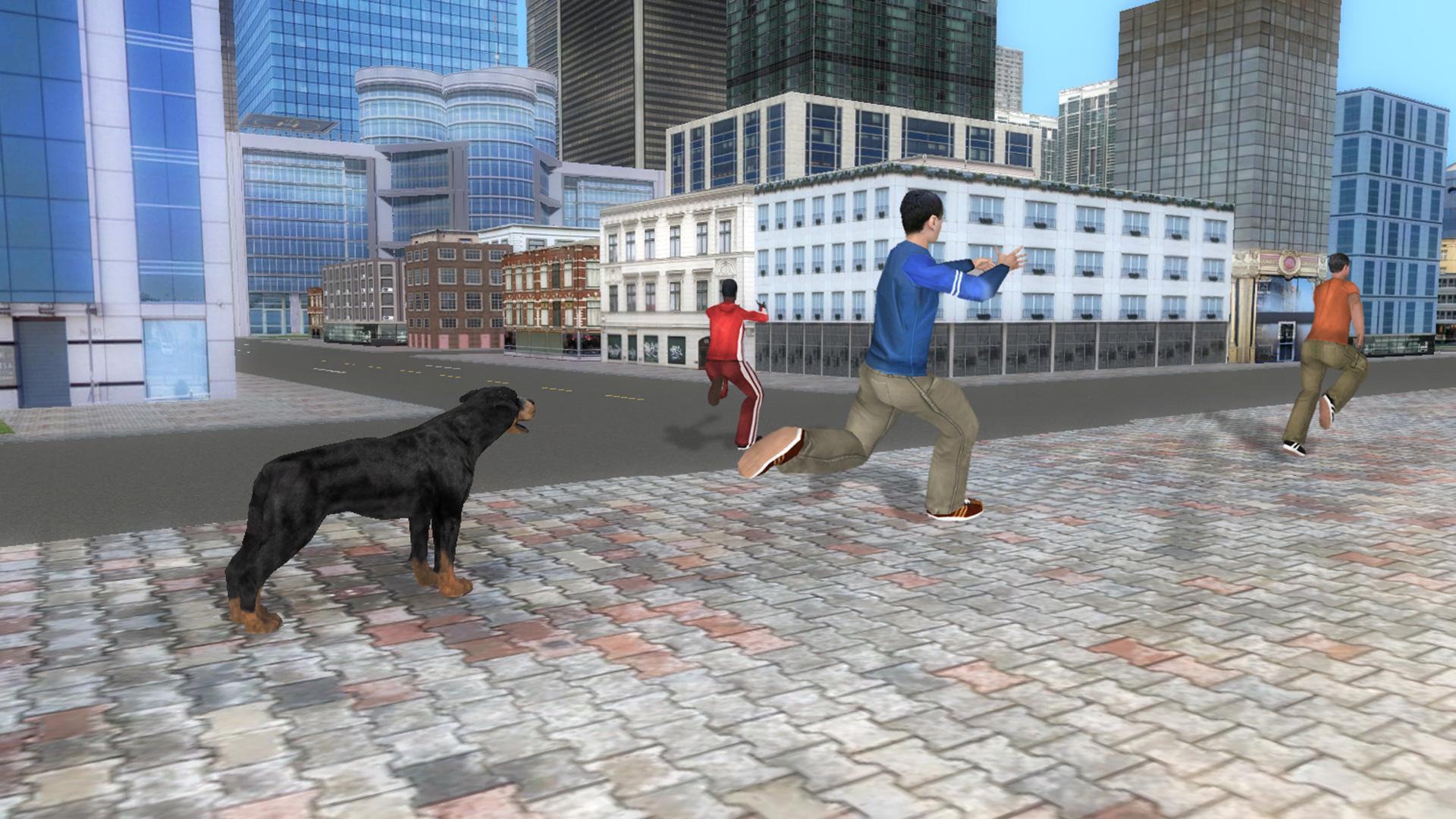 Rottweiler