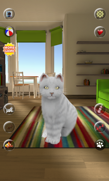 Talking Cute Cat