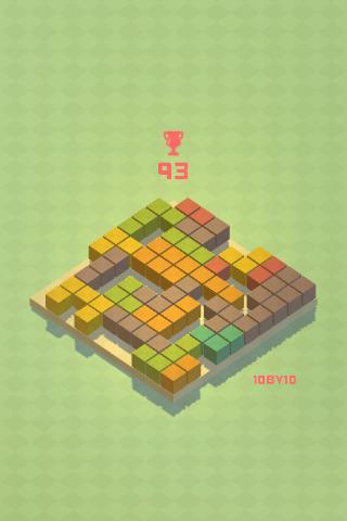 1010 3D Puzzle