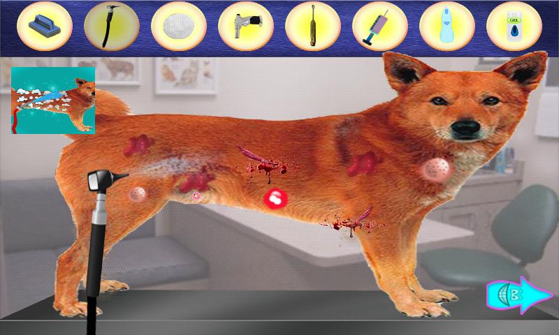 Kids Pets Doctor