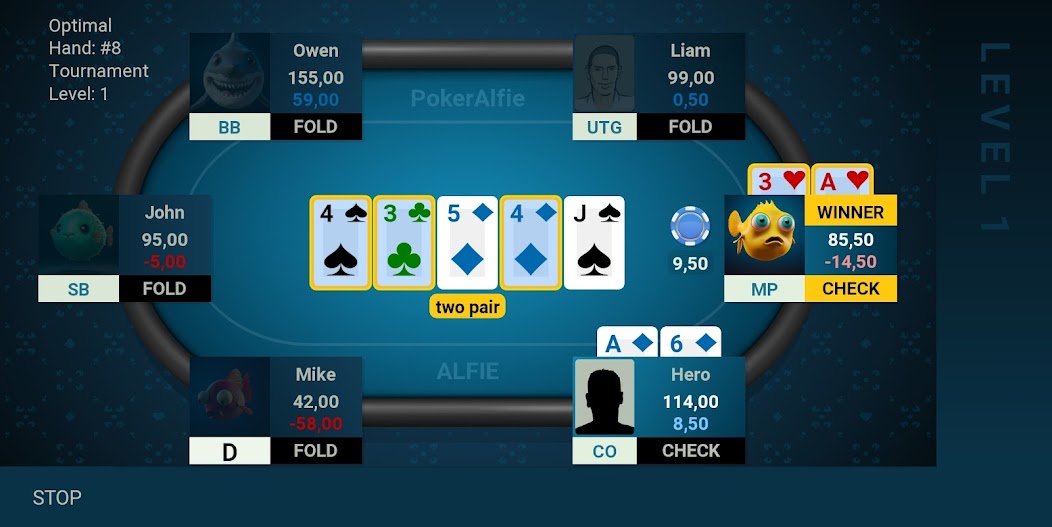 Offline Poker AI - PokerAlfie