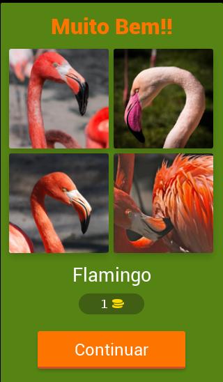 4 Fotos 1 Animal