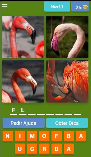 4 Fotos 1 Animal