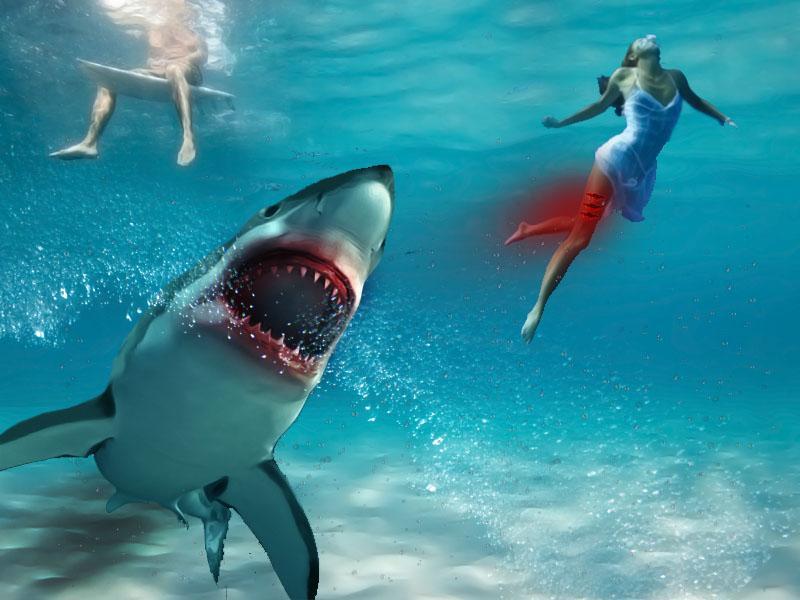 3D Shark Simulator Free