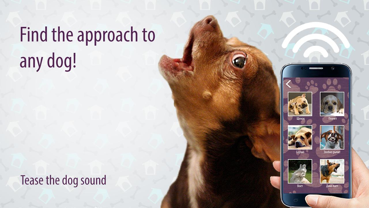 Tease the dog sound